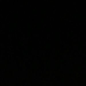 Meet your Posher, Louisa